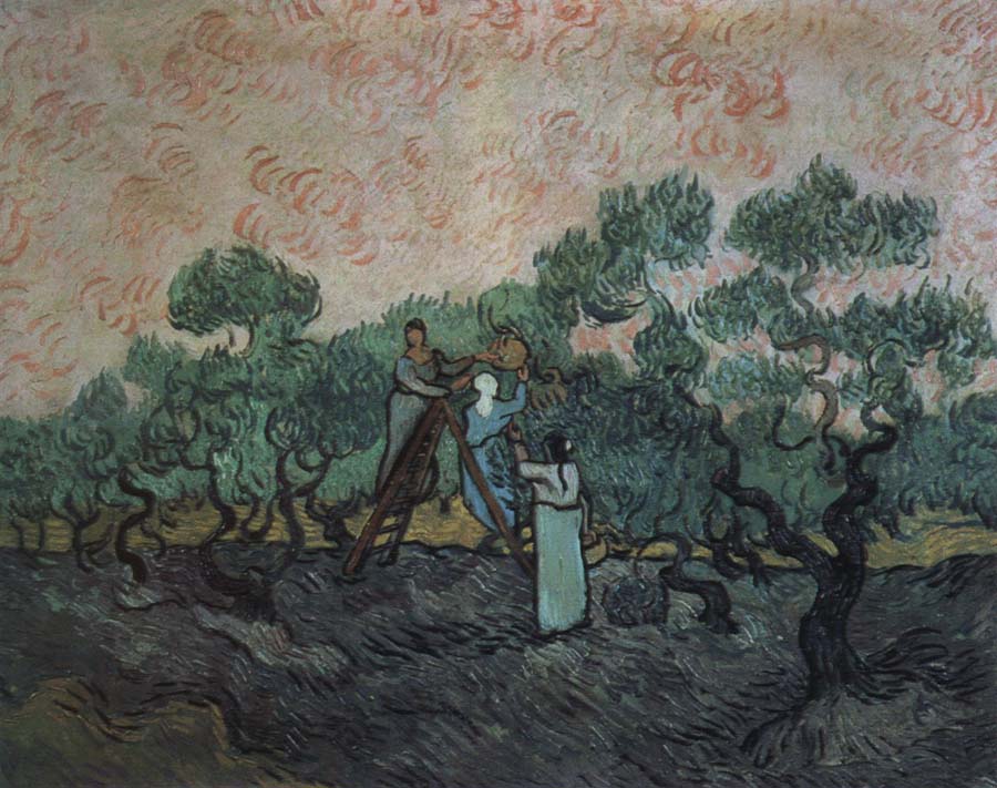 the olive pickers,saint remy,1889